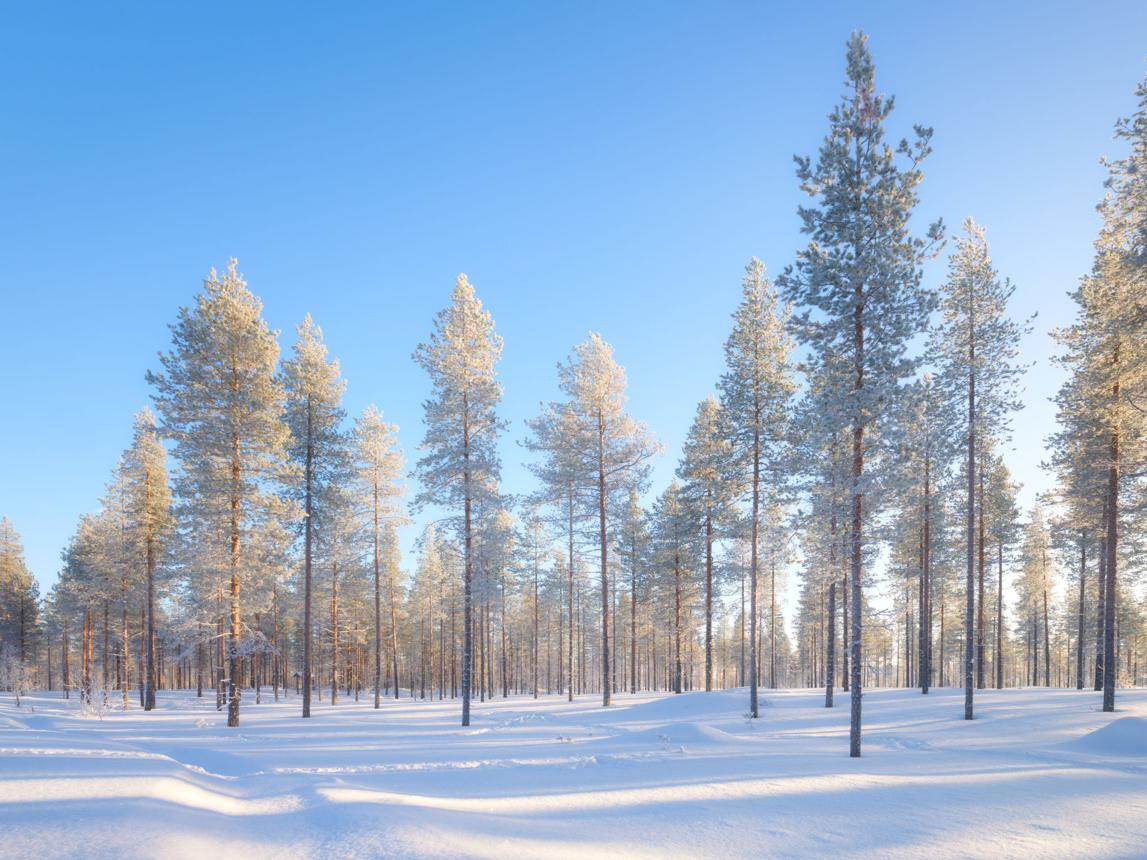 Lapland