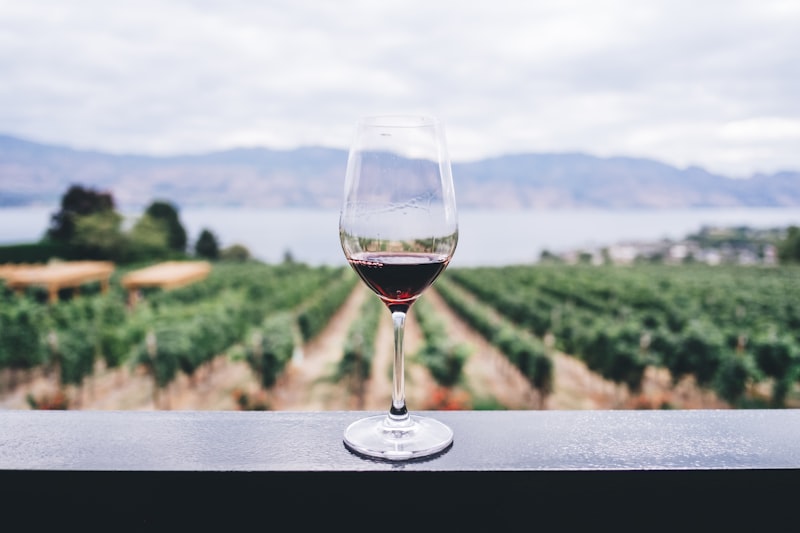 Bordeaux Wine